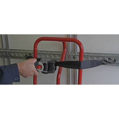 Sealey 50mm x 3m Auto Retractable Ratchet Tie Down ATD50301
