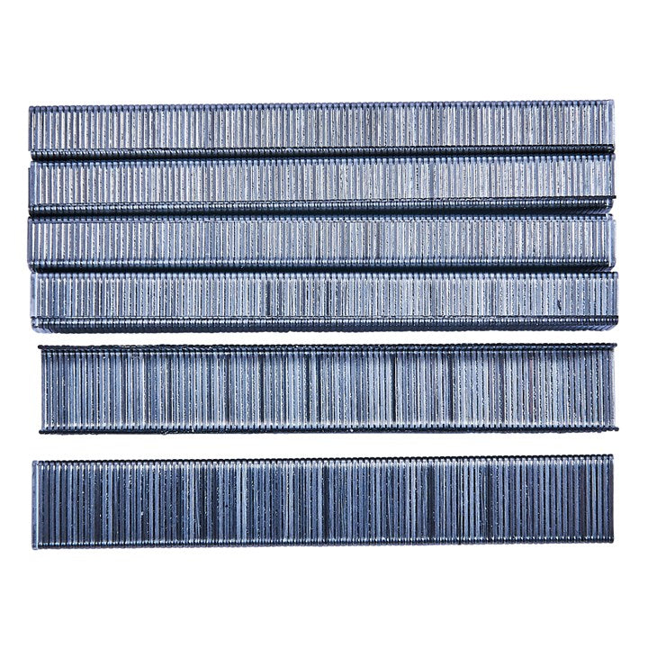 Amtech 6mm Staples (x 1000) B3771
