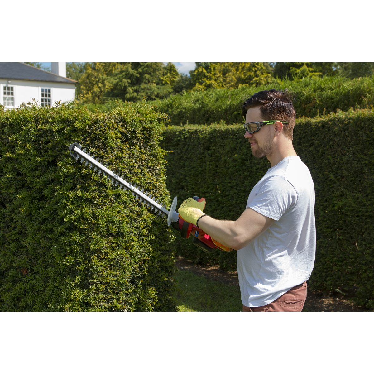 Sealey 20V SV20 Series Cordless Hedge Trimmer 520mm - Body Only CHT20V