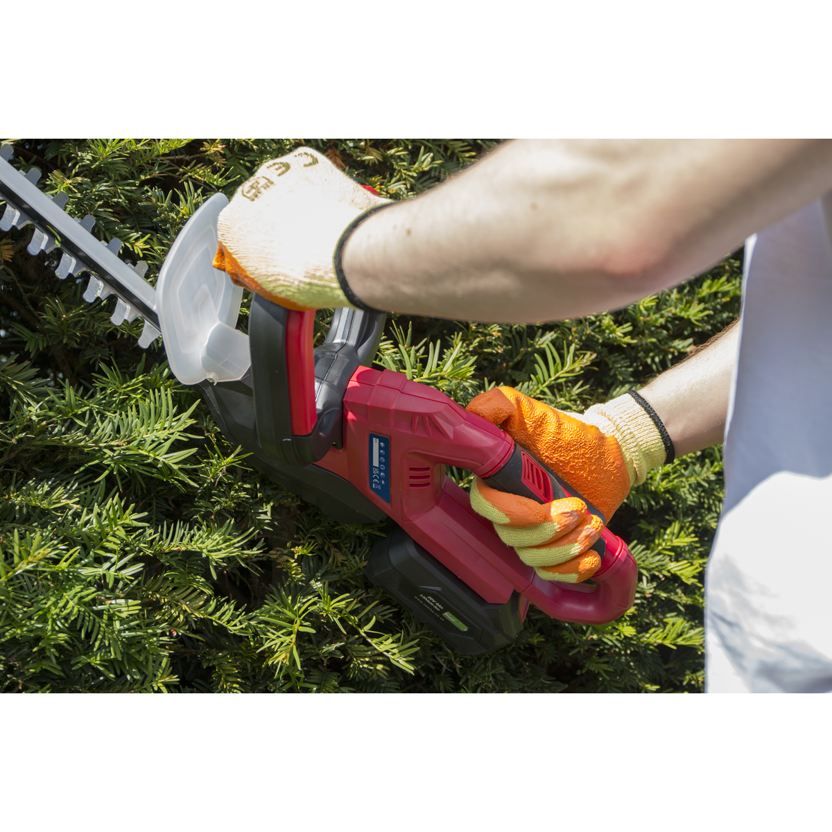 Sealey 20V SV20 Series Cordless Hedge Trimmer 520mm - Body Only CHT20V