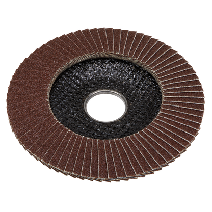 Sealey Ø100mm Aluminium Oxide Flap Disc Ø16mm Bore 40Grit FD10040E