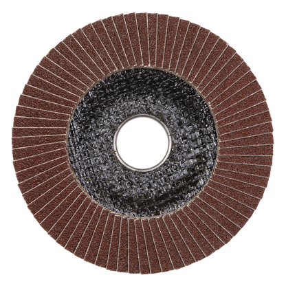 Sealey Ø100mm Aluminium Oxide Flap Disc Ø16mm Bore 80Grit FD10080E