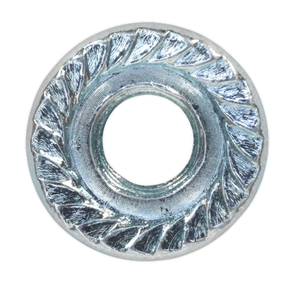 Sealey Zinc Plated Serrated Flange Nut DIN 6923 - M6 - Pack of 100 FN6