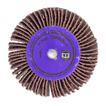 Sealey Ø25 x 20mm Flap Wheel 6mm Shaft 60Grit FW252060
