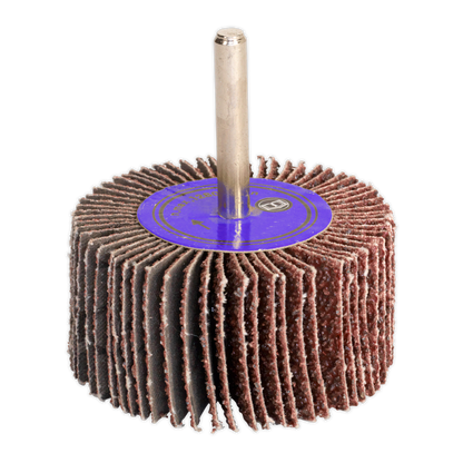 Sealey Ø40 x 20mm Flap Wheel 6mm Shaft 40Grit FW402040