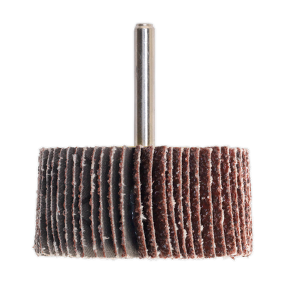Sealey Ø40 x 20mm Flap Wheel 6mm Shaft 40Grit FW402040