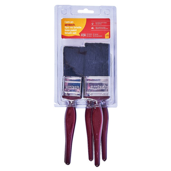 Amtech 5 Piece no bristle loss paint brush set G4340