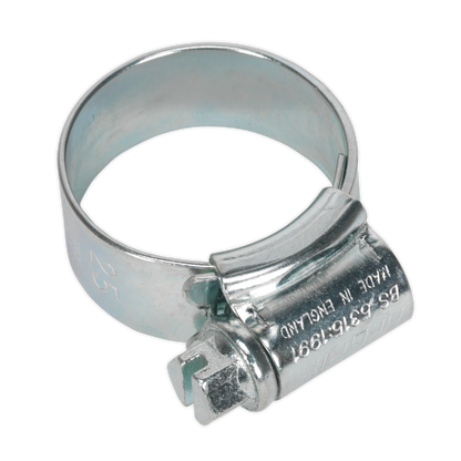Sealey Ø17-25mm Zinc Plated HI-GRIP® Hose Clip - Pack of 20 HCJ0X
