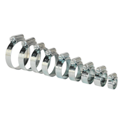 Sealey 85pc HI-GRIP® Hose Clip Assortment - Sizes Ø9.5-55mm HCJ85A