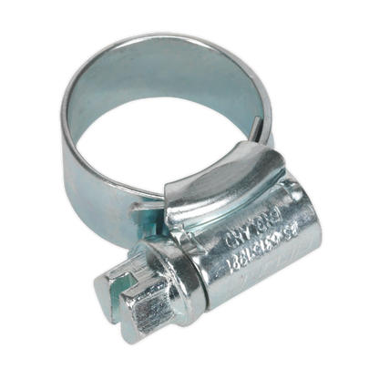 Sealey Ø11-16mm Zinc Plated HI-GRIP® Hose Clip - Pack of 30 HCJM00