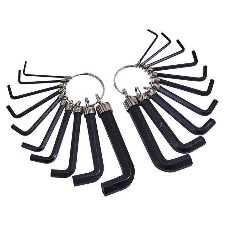 Amtech 20 Piece hex key set and keyring I8820