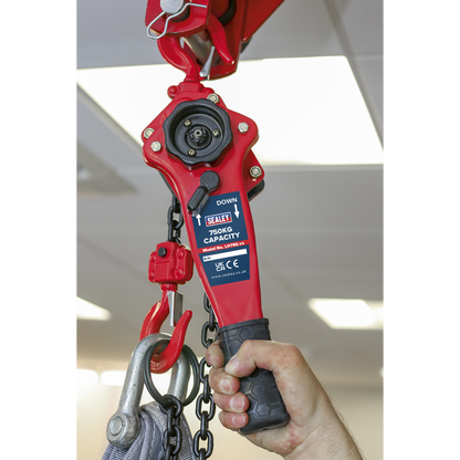 Sealey 750kg Capacity Steel Lever Hoist LH750