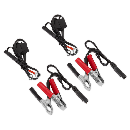 Sealey 10A (2 x 5A) 6/12V Two Bank Auto Maintenance Charger MBC250