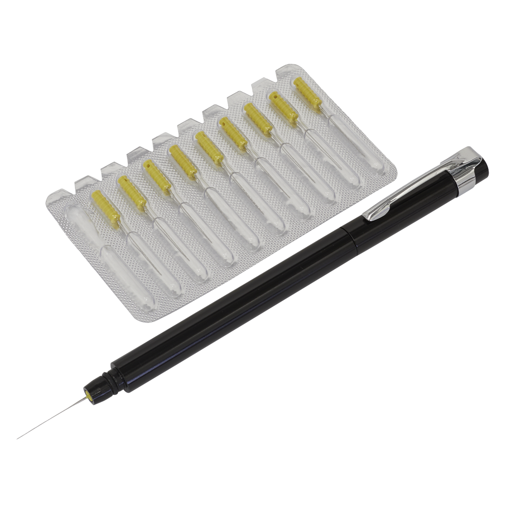 Sealey Paint Dirt Removal Pen with Needle Set MK78