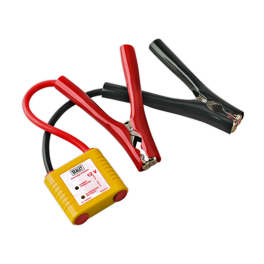Sealey 12V Auto Electronics Protection Device PROSAF/12