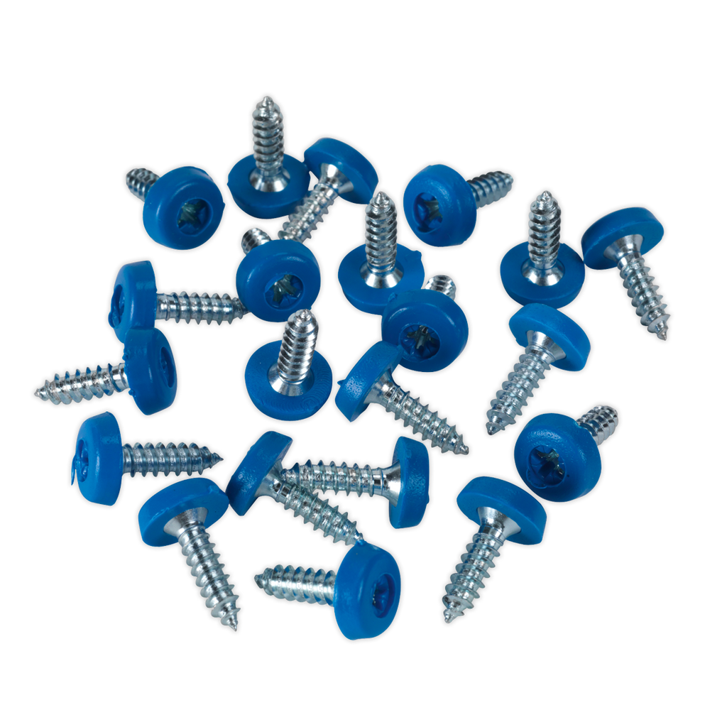 Sealey 4.8 x 18mm Blue Numberplate Screw - Pack of 50 PTNP4