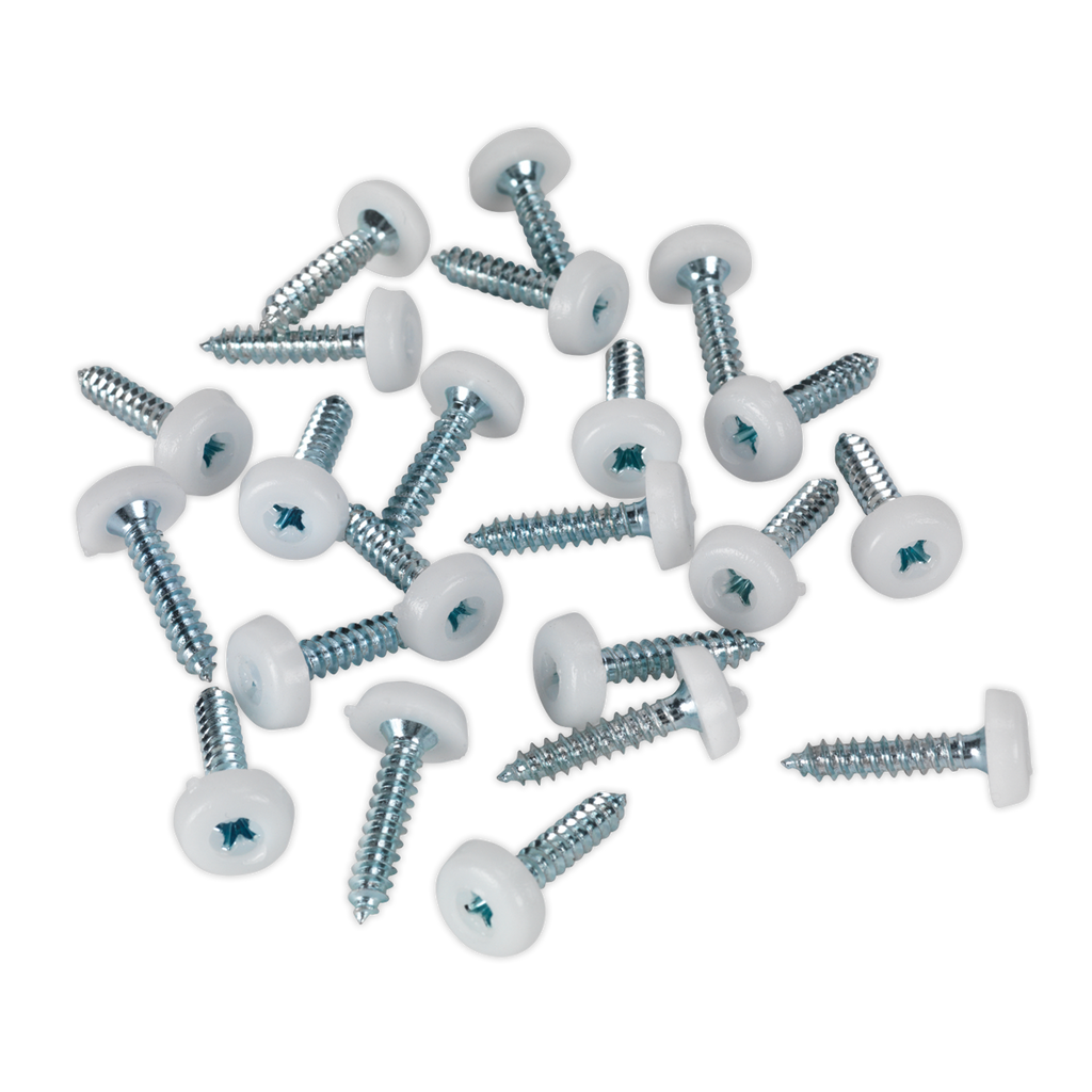 Sealey 4.8 x 24mm White Numberplate Screw - Pack of 50 PTNP5