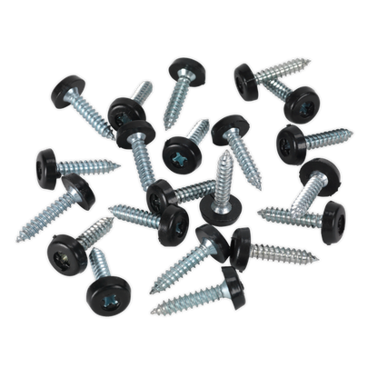 Sealey 4.8 x 24mm Black Numberplate Screw - Pack of 50 PTNP7