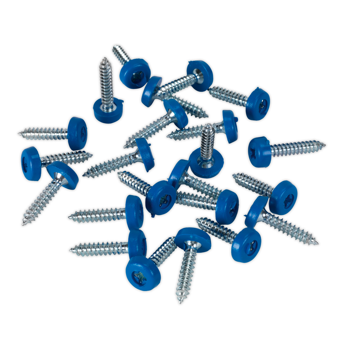 Sealey 4.8 x 24mm Blue Numberplate Screw - Pack of 50 PTNP8