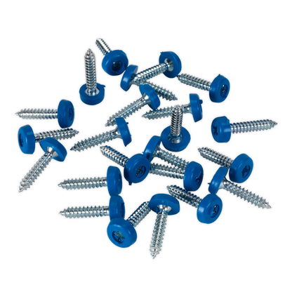 Sealey 4.8 x 24mm Blue Numberplate Screw - Pack of 50 PTNP8