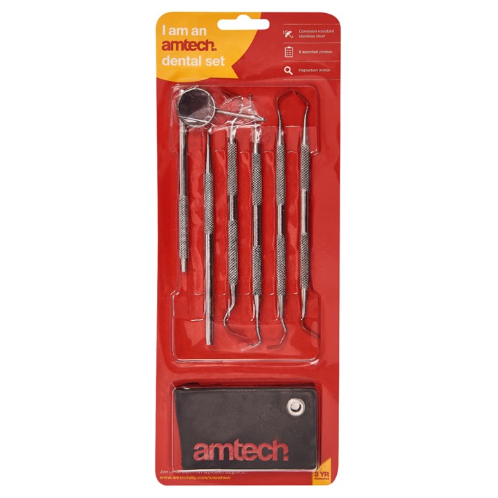 Amtech 6 Piece dental pick set R0350
