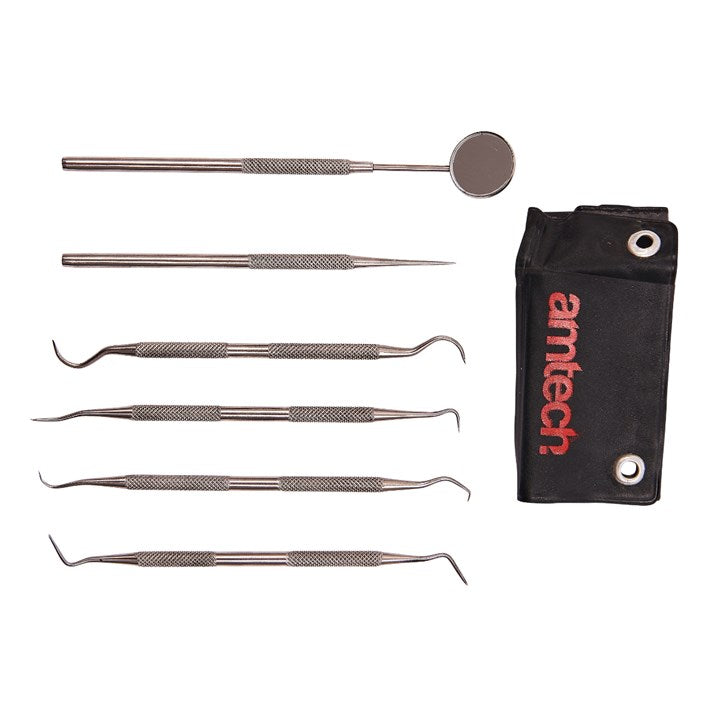 Amtech 6 Piece dental pick set R0350