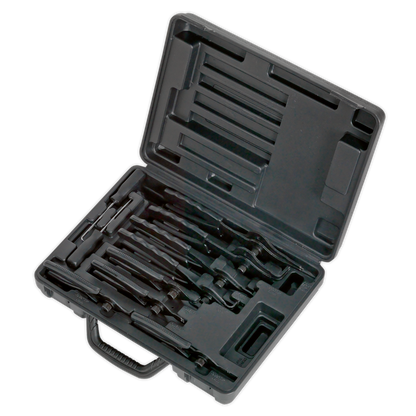 Sealey 10pc Internal/External Circlip Pliers Set S01064