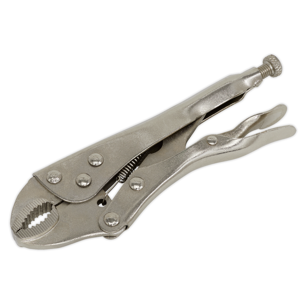 Sealey 175mm Locking Pliers S0486