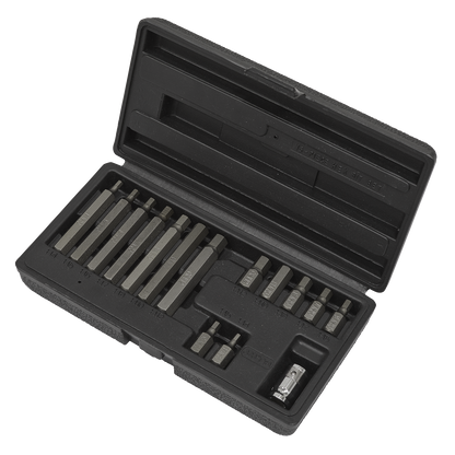 Sealey 15pc 3/8"Sq Drive Hex Bit & Holder Set S0533