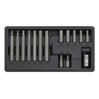 Sealey 15pc 3/8"Sq Drive Hex Bit & Holder Set S0533