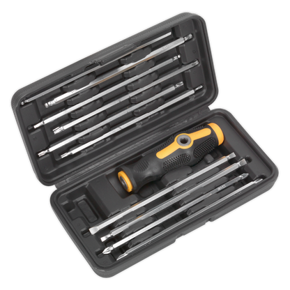 Sealey 20-in-1 Screwdriver Set S0777