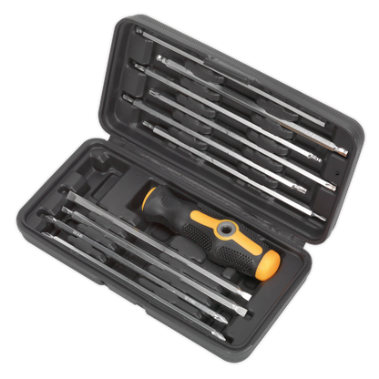 Sealey 20-in-1 Screwdriver Set S0777