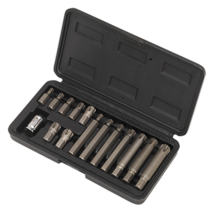 Sealey 15pc 3/8"Sq Drive Ribe Bit & Holder Set S0871
