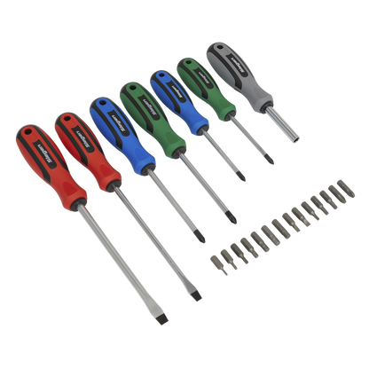 Sealey 21pc Screwdriver Set with Storage Case S0923