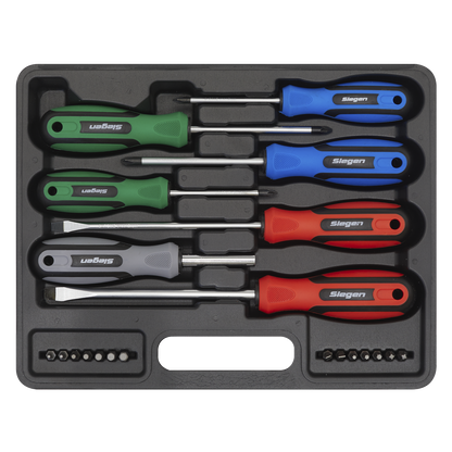 Sealey 21pc Screwdriver Set with Storage Case S0923