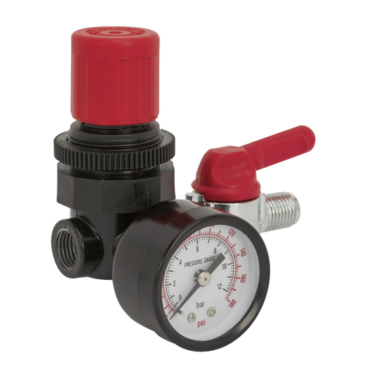 Sealey Air Regulator 1/4"BSP Female - 1/4"BSP Male SA5/RG/14