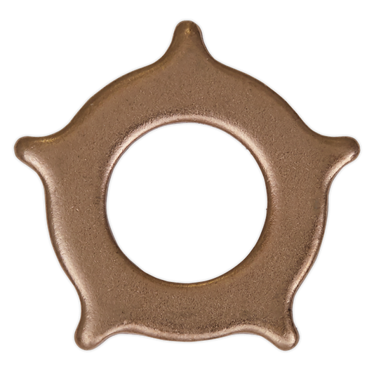 Sealey Star Washer for SR2000 Pack of 10 SR2000.SW