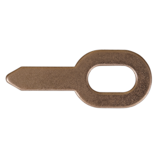 Sealey Tabs for SR2000 Pack of 10 SR2000.T