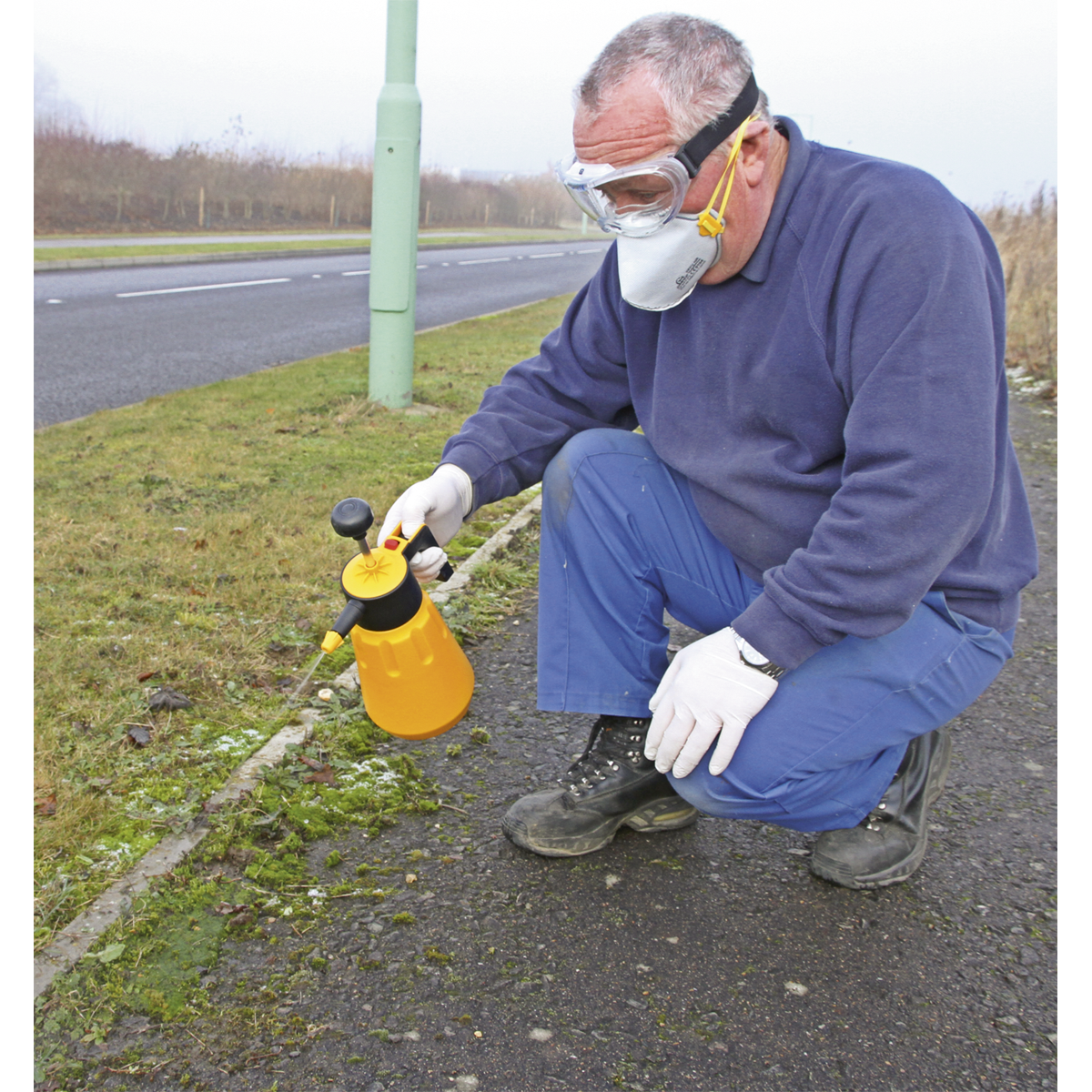 Sealey 1.5L Hand Pressure Sprayer SS1