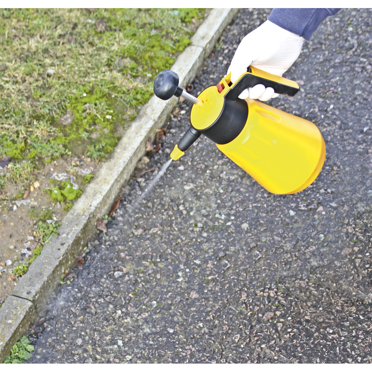 Sealey 1.5L Hand Pressure Sprayer SS1