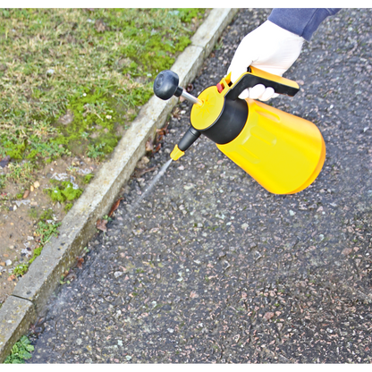 Sealey 1.5L Hand Pressure Sprayer SS1