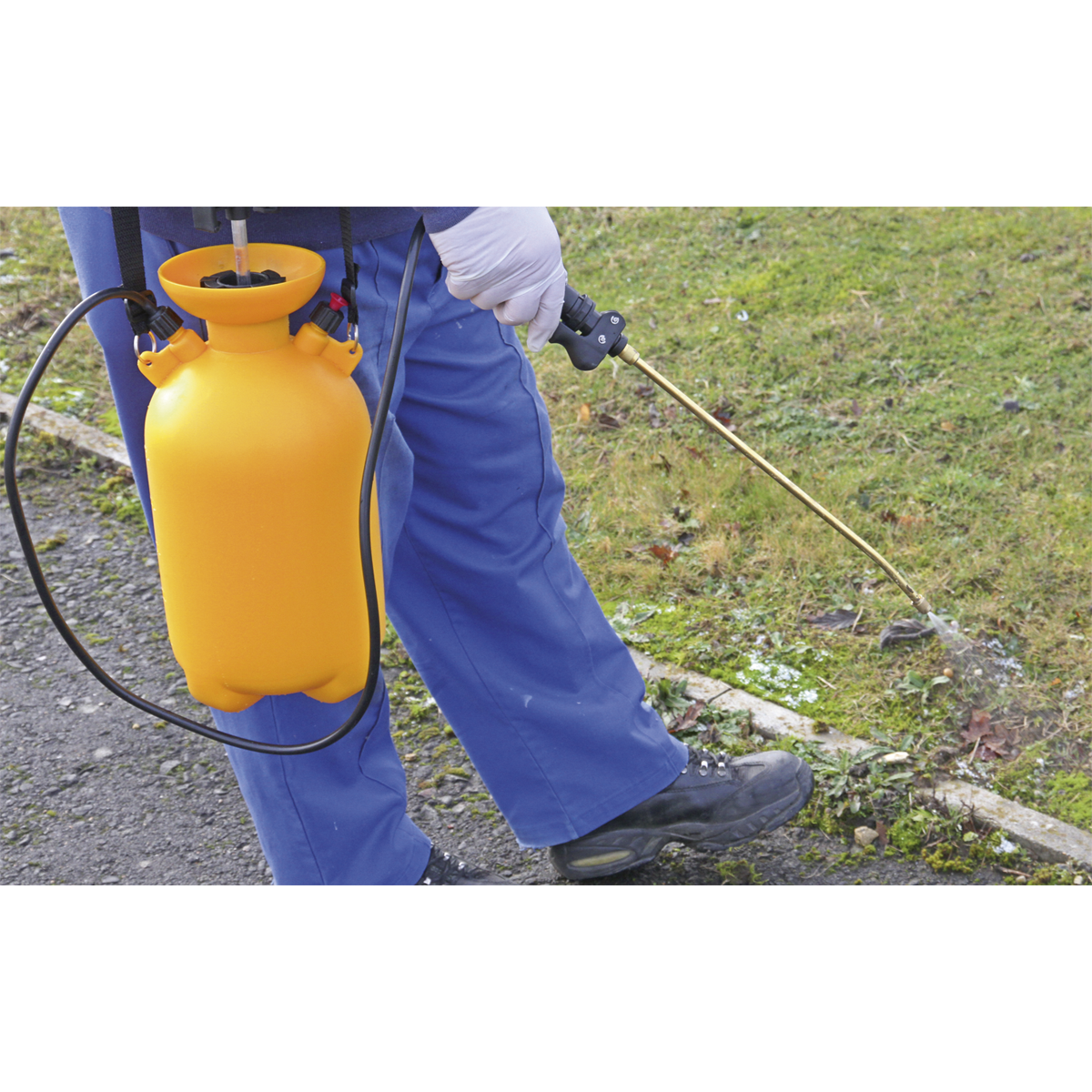 Sealey 8L Pressure Sprayer SS3