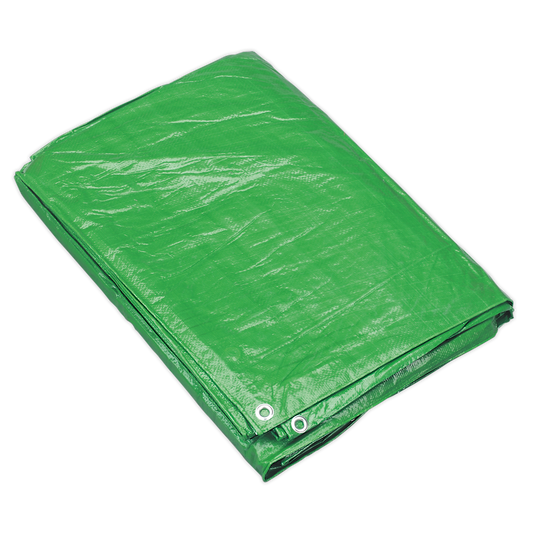 Sealey 4.88 x 6.10m Tarpaulin - Green TARP1620G