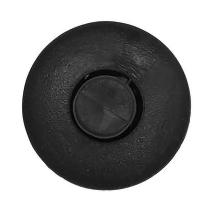 Sealey Push Rivet, Ø16mm x 21mm, GM, Japanese - Pack of 20 TCPR1614