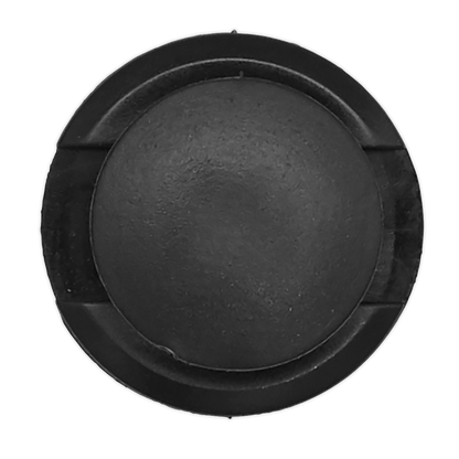 Sealey Push Rivet, Ø20mm x 42mm, Audi, Seat, VW - Pack of 20 TCPR2020VW