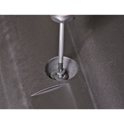 Sealey Screw Rivet, Ø15mm x 21mm, GM & Honda - Pack of 20 TCSR1514