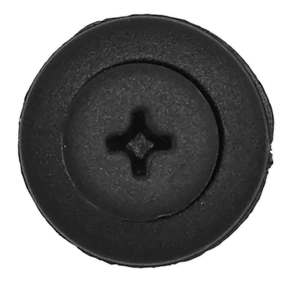 Sealey Screw Rivet, Ø18mm x 24mm, Ford, Hyundai, Kia, Mazda - Pack of 20 TCSR1815