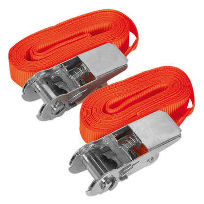 Sealey 25mm x 4.5m Self-Securing Ratchet Tie Down 500kg Breaking Strength - Pair TD05045E