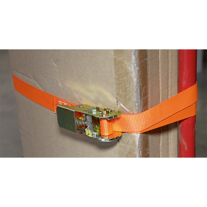 Sealey 25mm x 4.5m Self-Securing Ratchet Tie Down 500kg Breaking Strength - Pair TD05045E