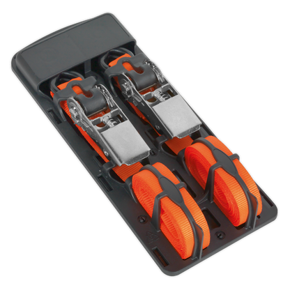 Sealey 25mm x 4m Polyester Webbing Ratchet Tie Down with S-Hooks 500kg Breaking Strength - Pair TD0540S2